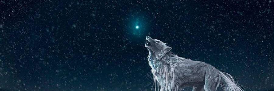wolfieshelX's profile banner image