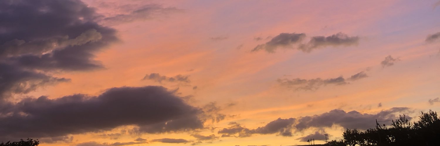 MsBunBunn's profile banner image