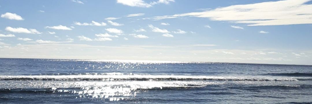 AmnaAliShareef's profile banner image