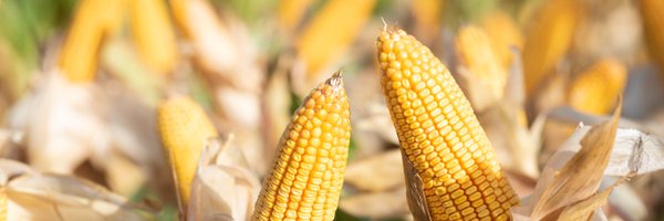 Agropack Profile Banner
