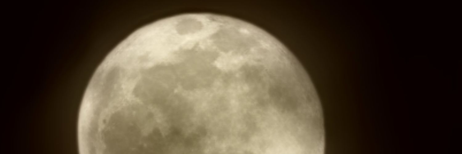 ehud613's profile banner image