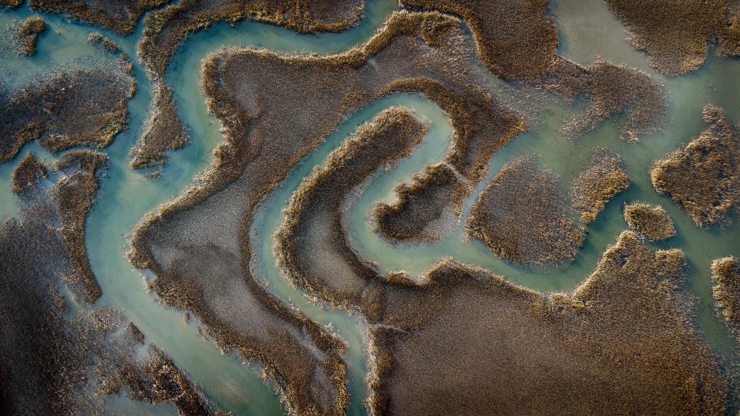 Jennifer Berry Hawes banner