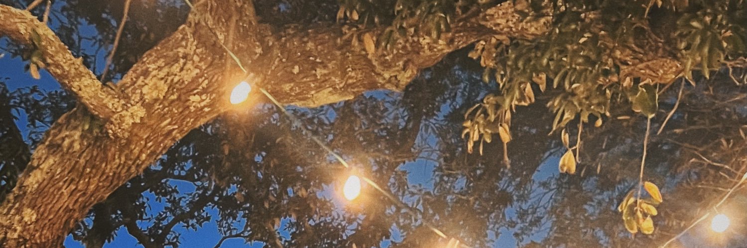 stephie_geeee's profile banner image