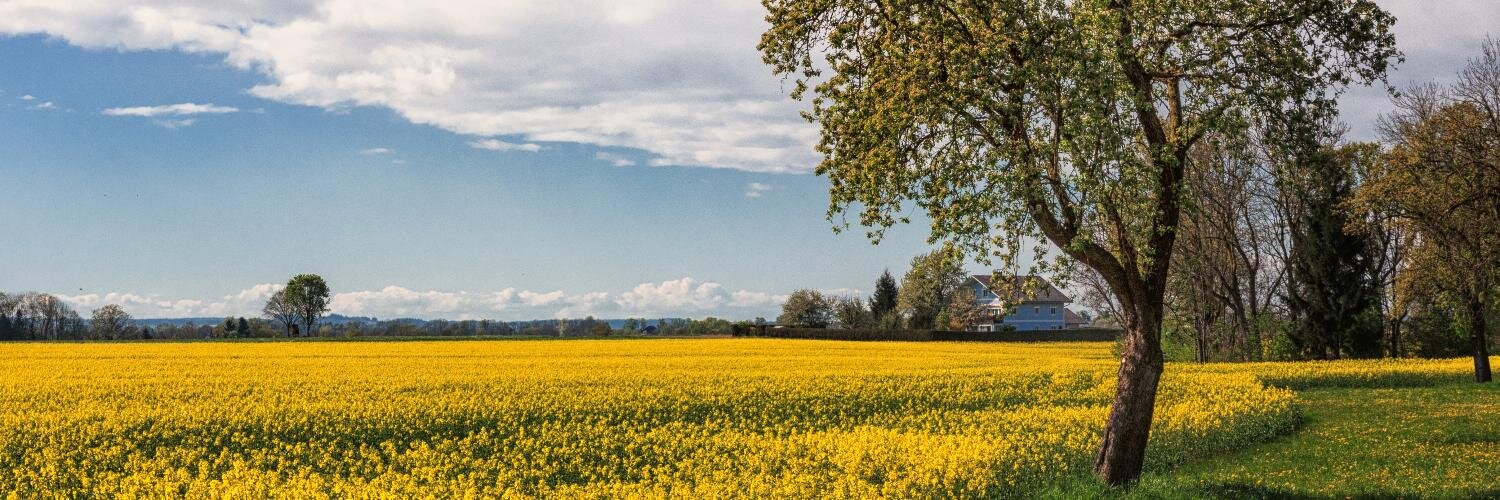 BertInter's profile banner image