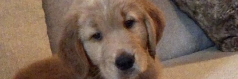 johnleeyork24's profile banner image
