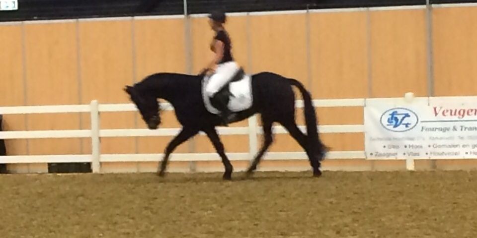 Lizaa931's profile banner image