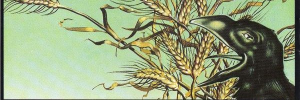 Sue banner