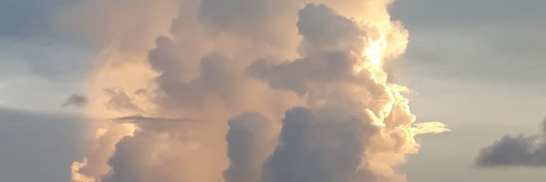 dommoz's profile banner image