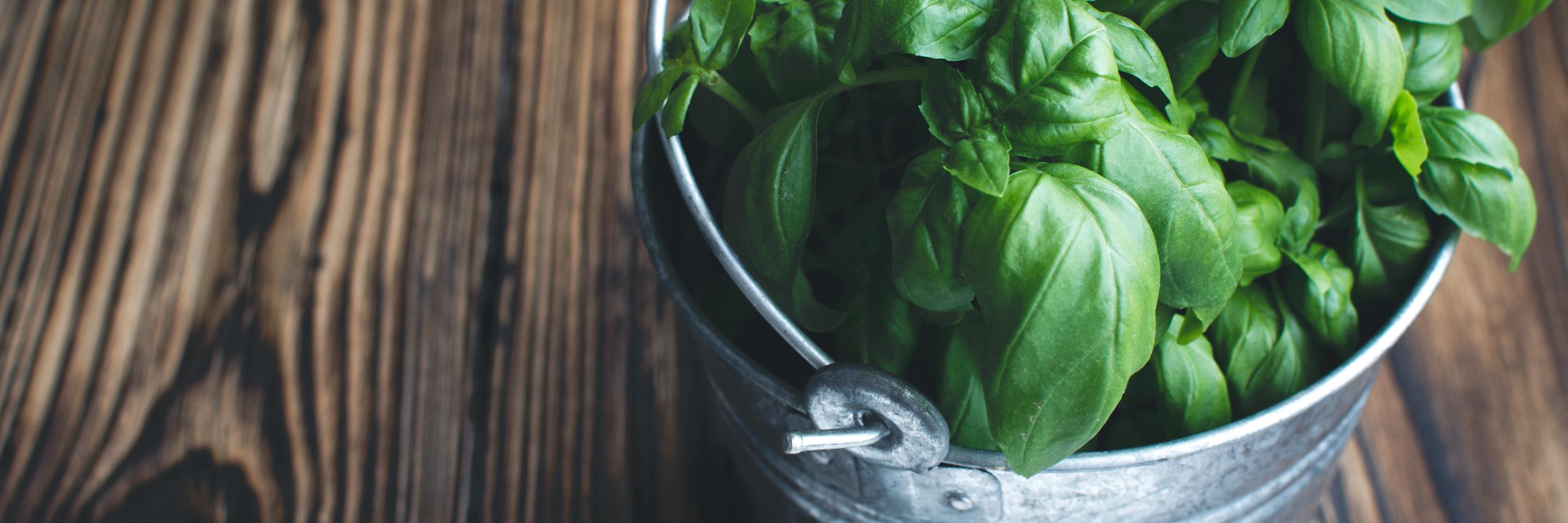 Elize Symington banner