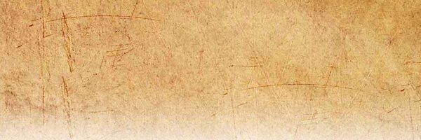 Bible Profile Banner