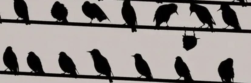 MrTweetsmith's profile banner image