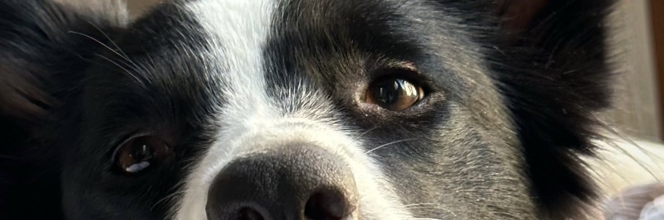 SofRamirezQ's profile banner image