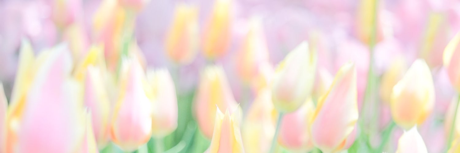 k_yk054's profile banner image