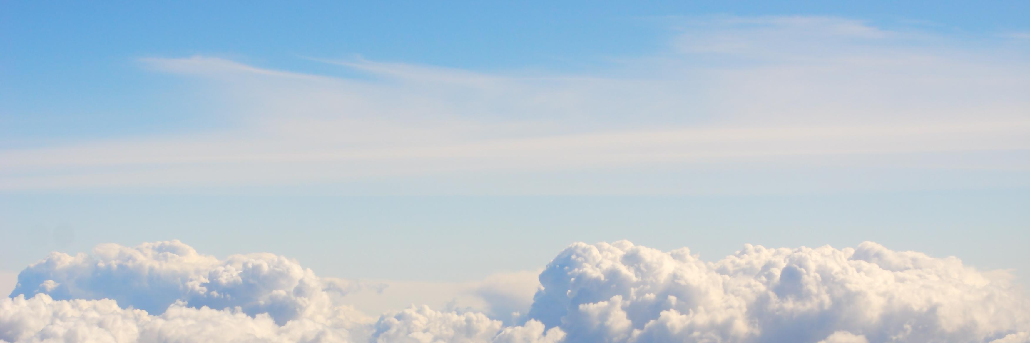 lulamho's profile banner image