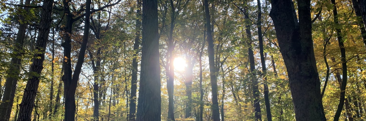 Raquel Sauras 🎗 banner