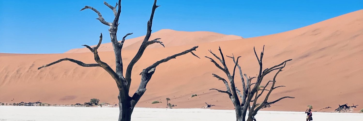 hendrina___'s profile banner image