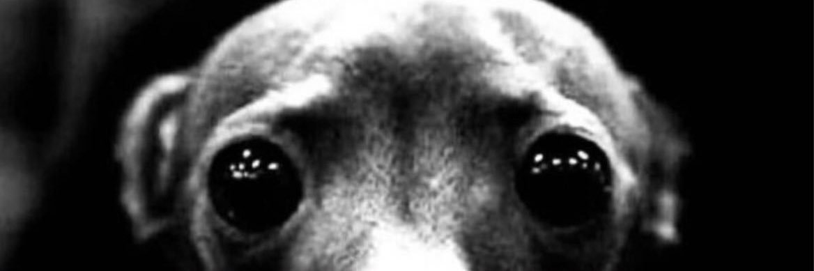 rua banner