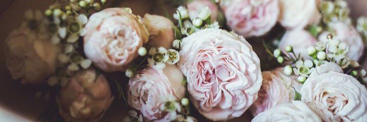 sororidesign's profile banner image