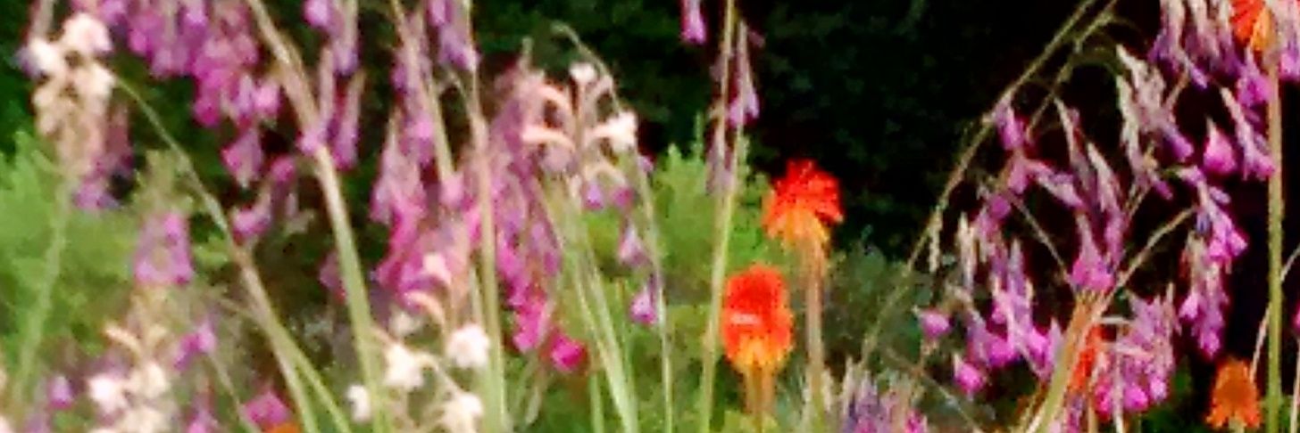 Cristine Payne banner