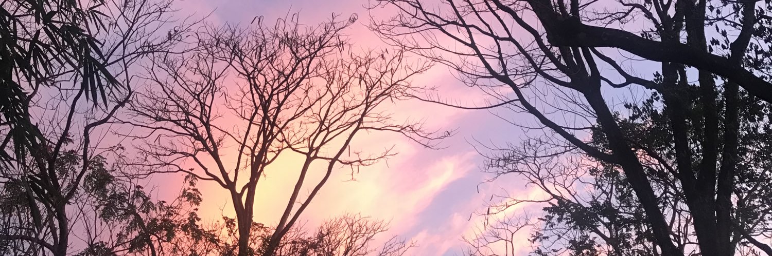 reintwinter's profile banner image
