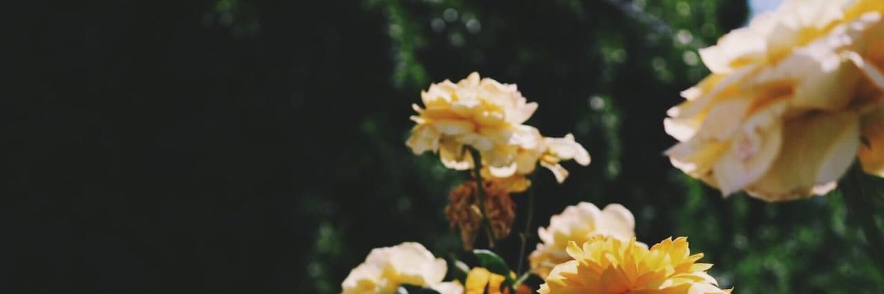 rockbell33's profile banner image