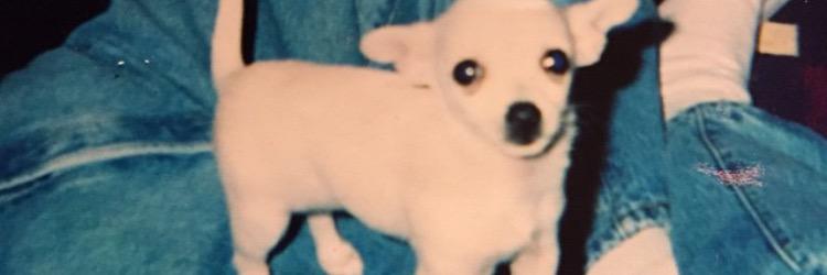 brenblum's profile banner image