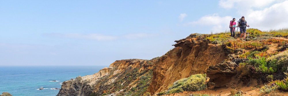 dumacanduma's profile banner image