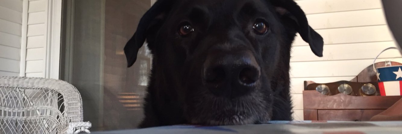 Laurie McFadden banner