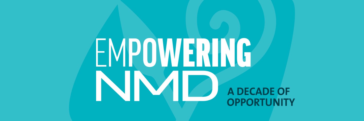 nmdcouncil's profile banner image
