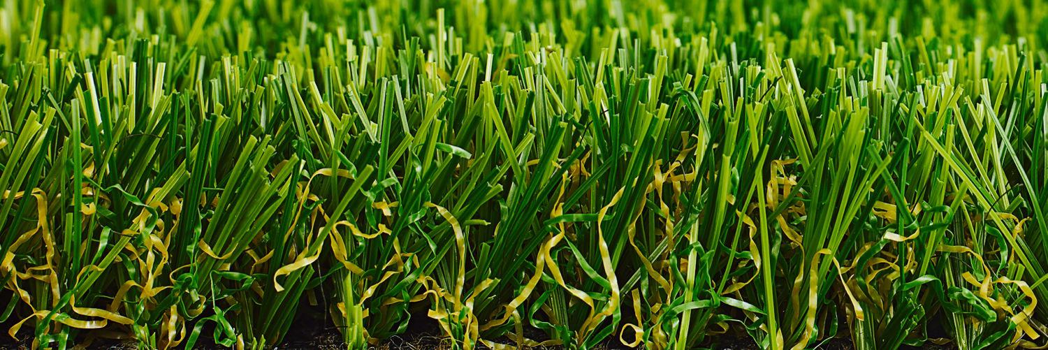 thegrasshub's profile banner image