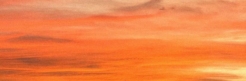 vitoriarinaldi's profile banner image