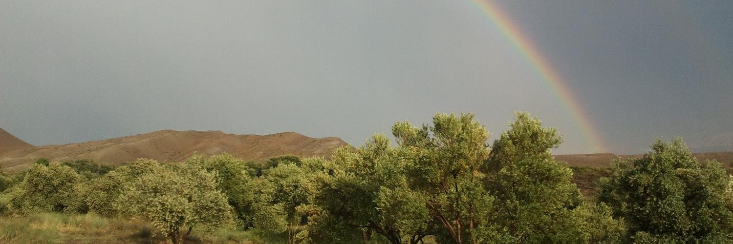 Homunculus_9's profile banner image