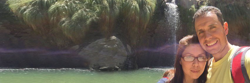 Waldhemir's profile banner image