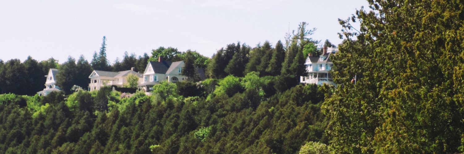 sydneysarotte's profile banner image