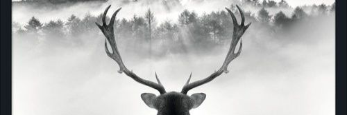 JSchaul00's profile banner image