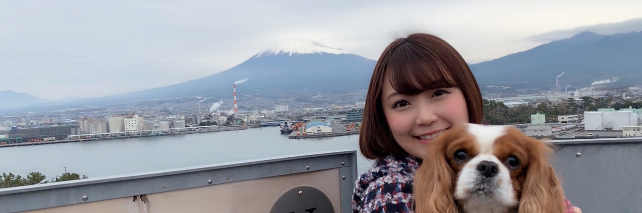 嶋 梨夏(しまりか)💛ルルエクレール🗻🍫🍡 banner