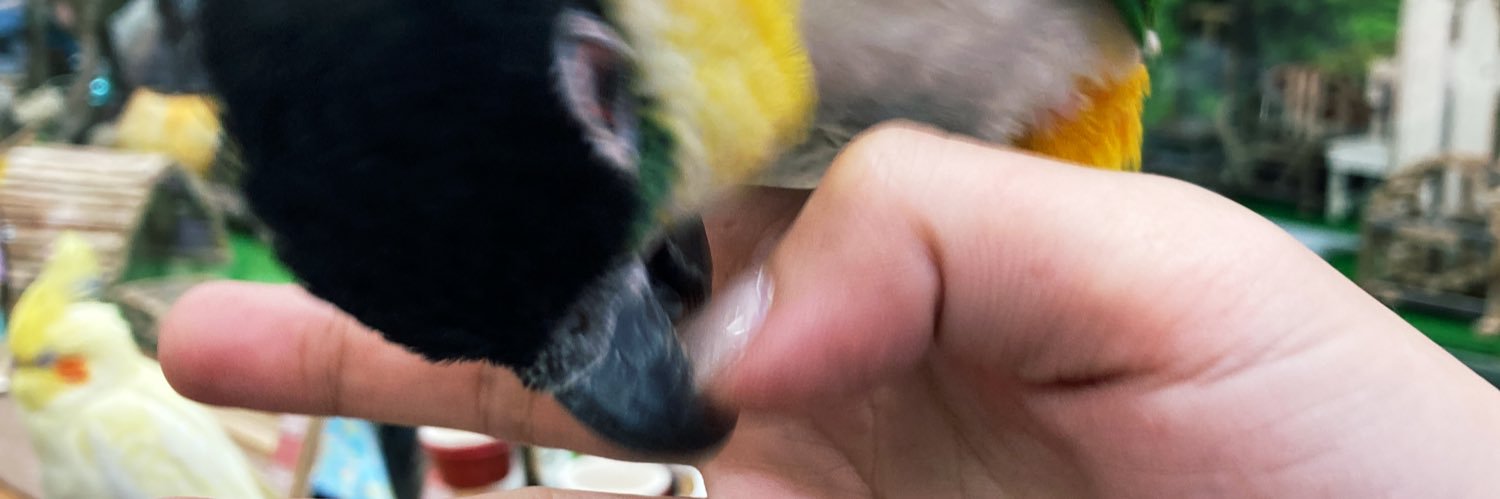 2vineger2's profile banner image