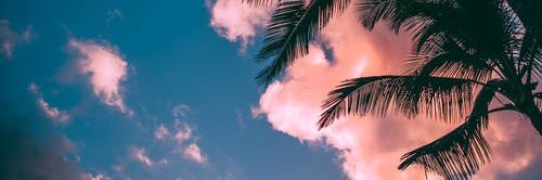 Nala2711's profile banner image