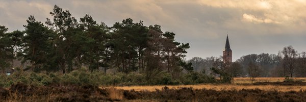 WillardB_ Profile Banner