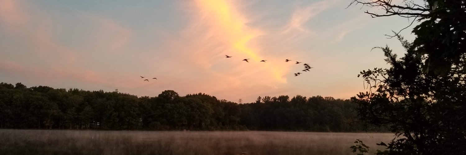 ronitg's profile banner image