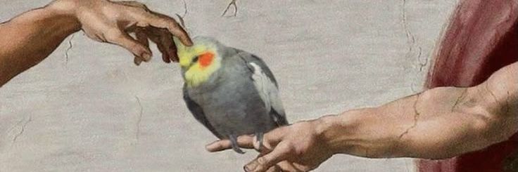 Criscococo's profile banner image