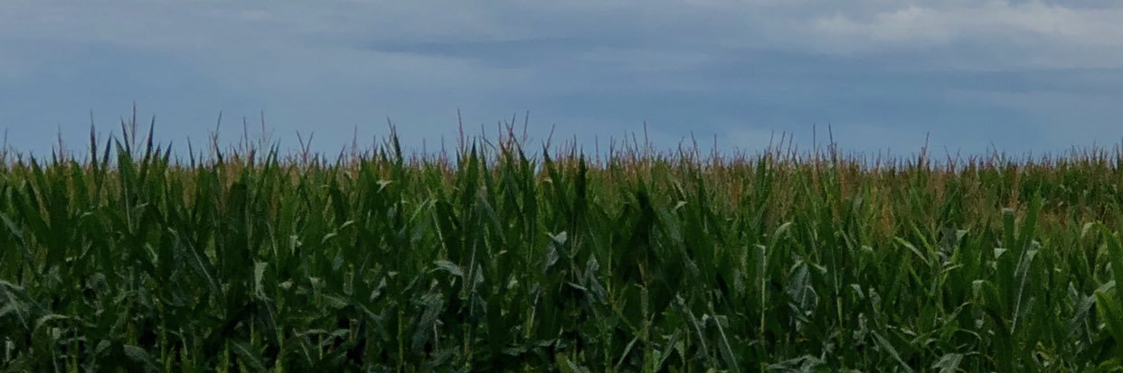 KCSWMD's profile banner image