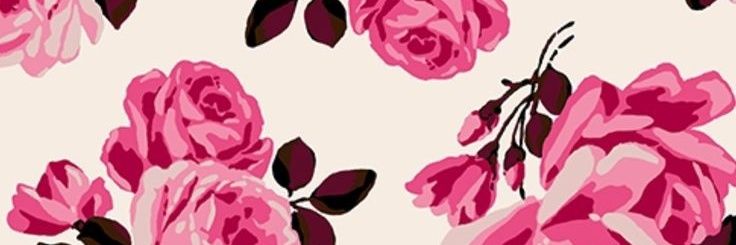 JosefinaPioli's profile banner image