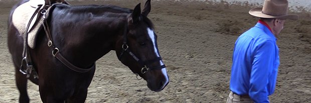 Monty Roberts banner