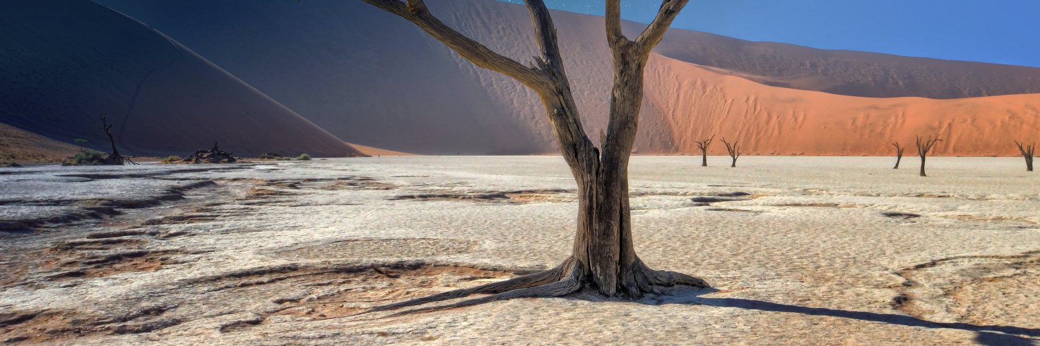 HolyDesert's profile banner image