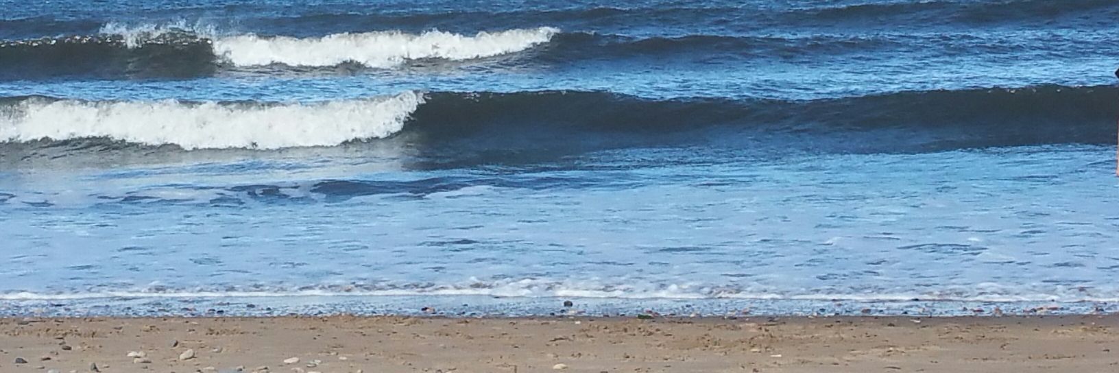 laneeboy_'s profile banner image
