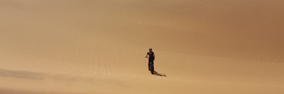 Natalie Schellack banner