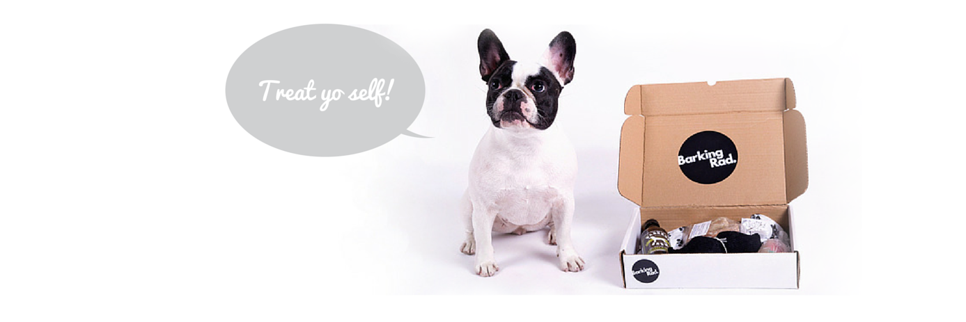 Barking_Rad's profile banner image