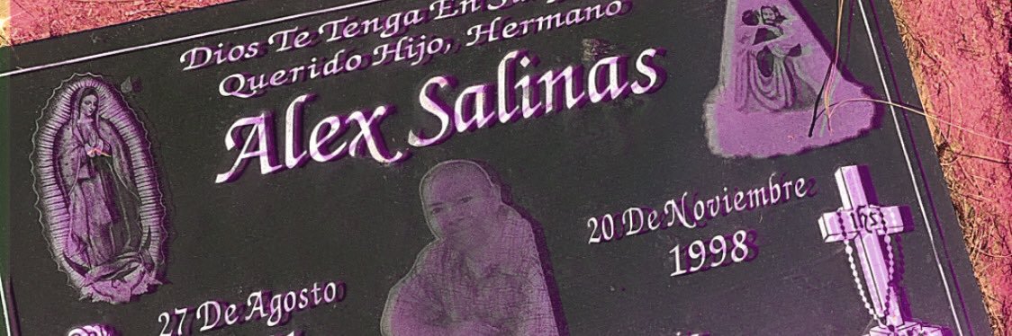raina_salinas's profile banner image