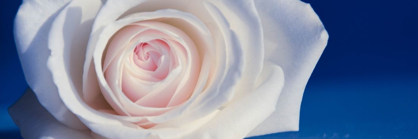 mudia07's profile banner image